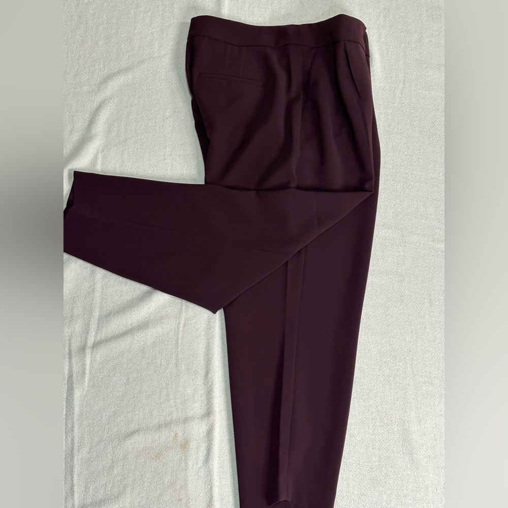Express Ankle Pants
